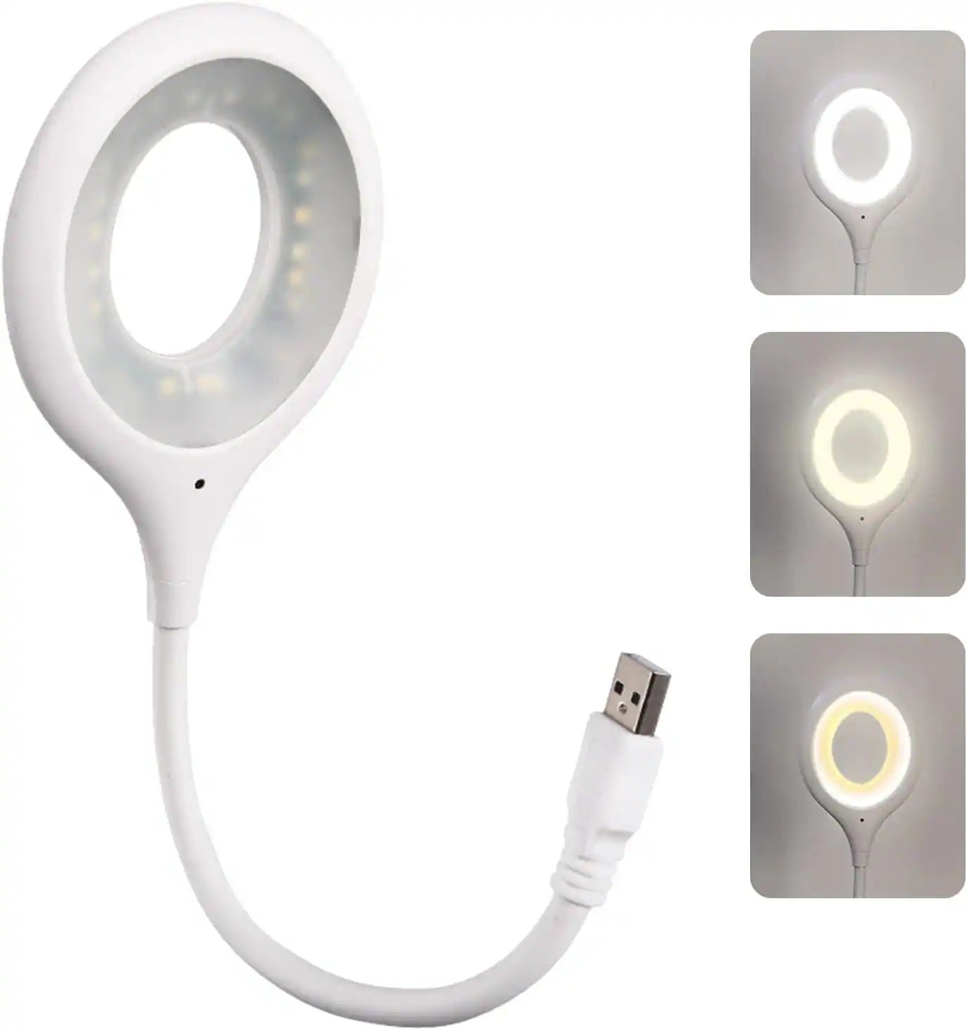 Voice Control USB Light